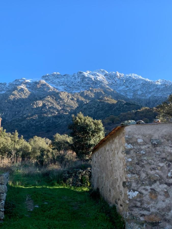 Bed and Breakfast Casa Basgiu Zilia Esterno foto