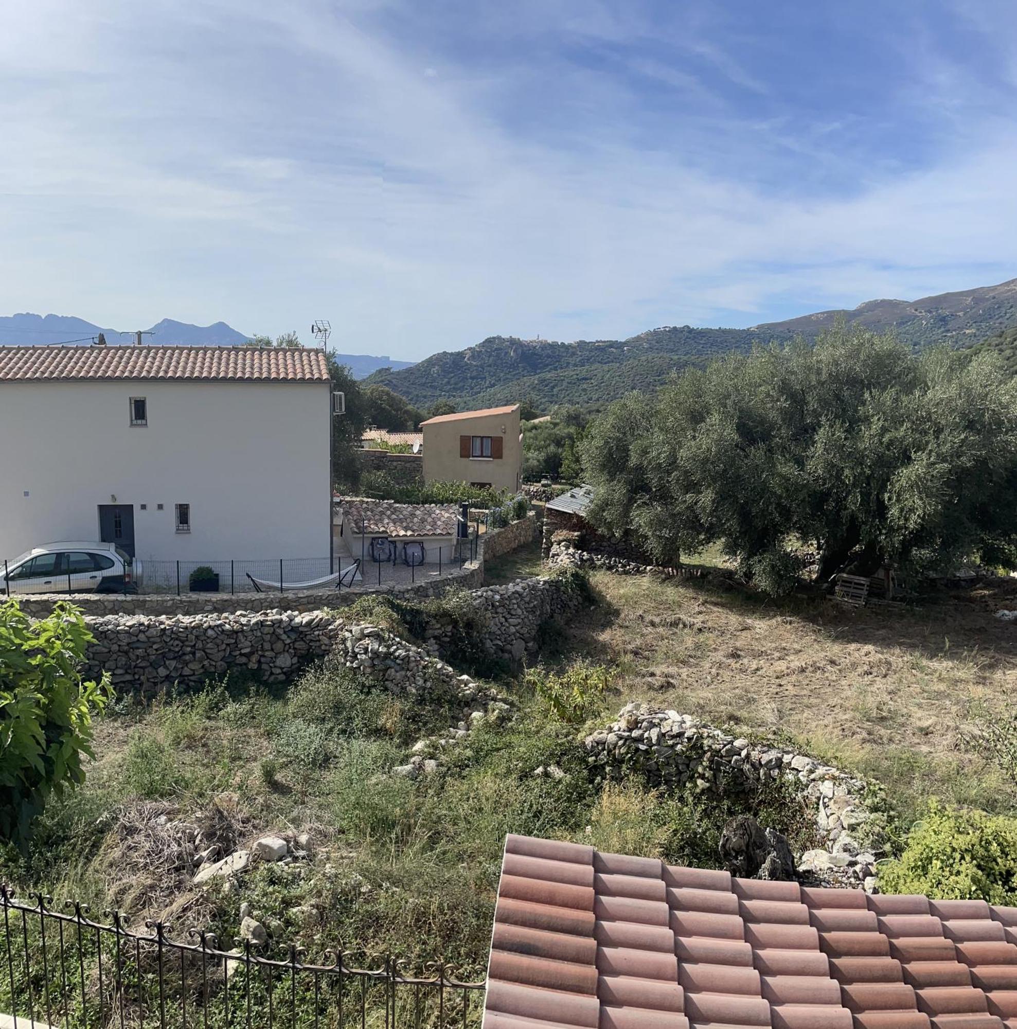 Bed and Breakfast Casa Basgiu Zilia Esterno foto